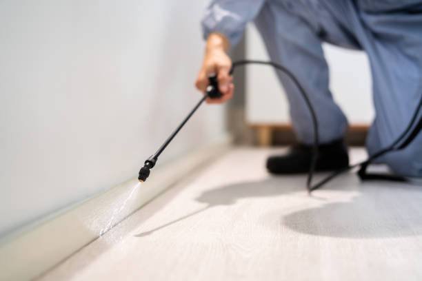 Wasp Removal Services in Naples Manor, FL