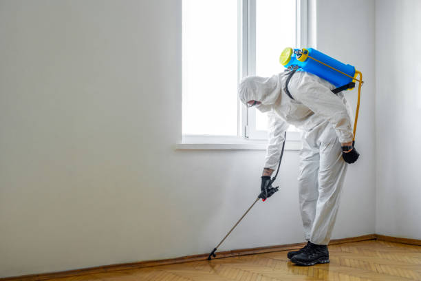 Best Affordable Pest Control Services  in Naples Manor, FL