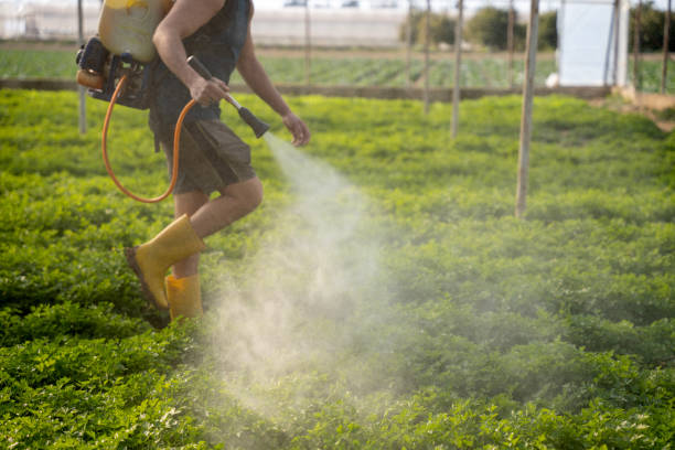 Best Commercial Pest Control Services  in Naples Manor, FL