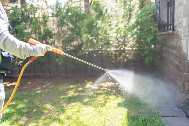 Best Termite Control Services  in Naples Manor, FL