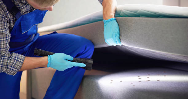 Best Commercial Pest Control Services  in Naples Manor, FL