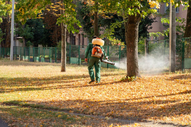 Best Pest Inspection Near Me  in Naples Manor, FL