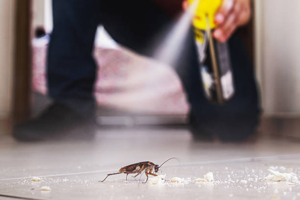 Best Residential Pest Control  in Naples Manor, FL