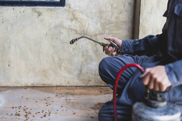 Best Best Pest Control Companies  in Naples Manor, FL