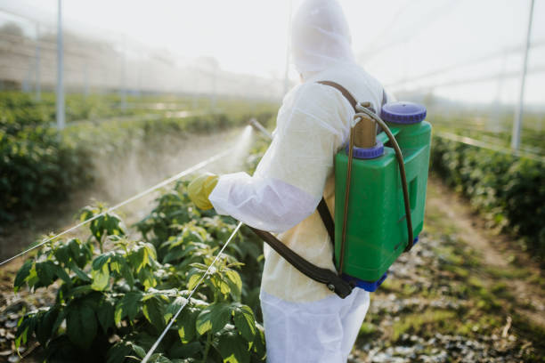  Naples Manor, FL Pest Control Pros